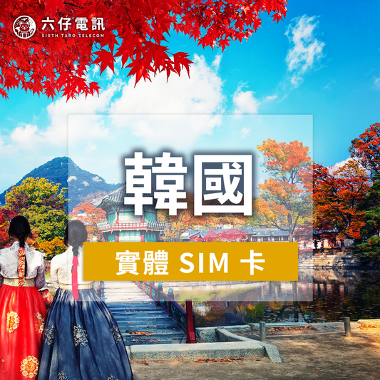 【實體卡】SK Telecom韓國上網絡卡 - 【韓國】每天2GB / 10天